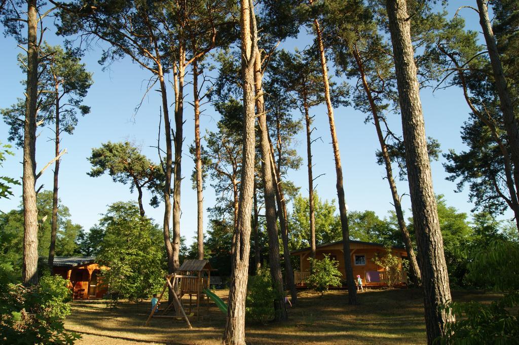 Dom Wczasowy Nadrzecze Bed & Breakfast Brok Dış mekan fotoğraf